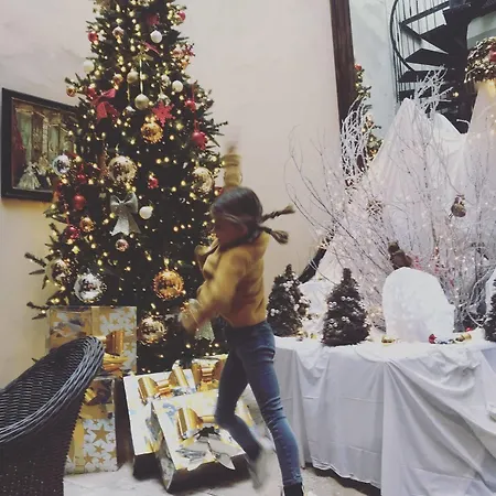 酒店 布里安城堡酒店